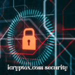 iCryptoX.com Security