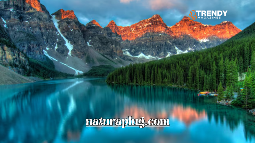 naturaplug.com